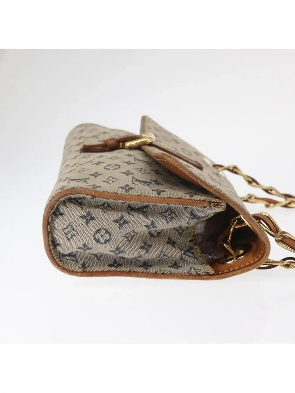 Louis Vuitton Mini Camille Chain #360937L58B